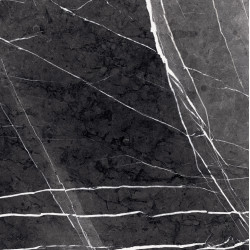 Керамогранит полированный Primavera GR203 Fedele Negro High glossy 600*1200 мм (1,44 м2)