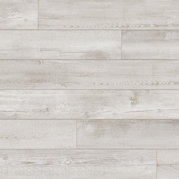 Ламинат Kaindl Classic Touch Premium Plank Сосна Гризли K4376, 32 класс, Толщина 8 мм, 2,2 м2